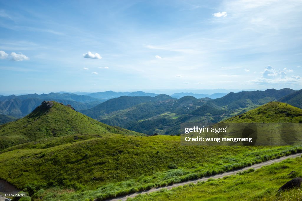 Green meadow under blue sky