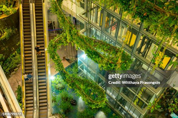 trees and office buildings - futuristic home stock pictures, royalty-free photos & images