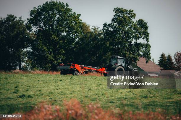 strawberry harvesting season - farm norway stock pictures, royalty-free photos & images