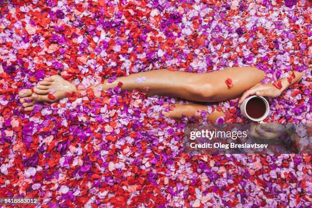 sexy woman legs in bath with flower petals. hot herbal tea in hands. unrecognizable person. - beautiful asian legs stock pictures, royalty-free photos & images