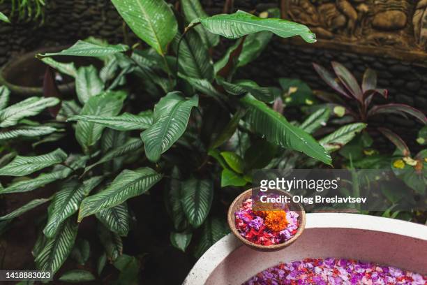 bowl with flowers on edge of stone bath tub in traditional balinese beauty spa salon. tropical plants on background - bali spa stock pictures, royalty-free photos & images