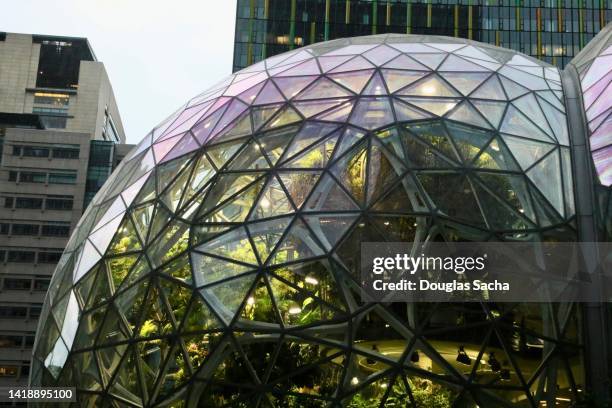 amazon spheres at the downtown seattle headquarters complex - terrarium imagens e fotografias de stock