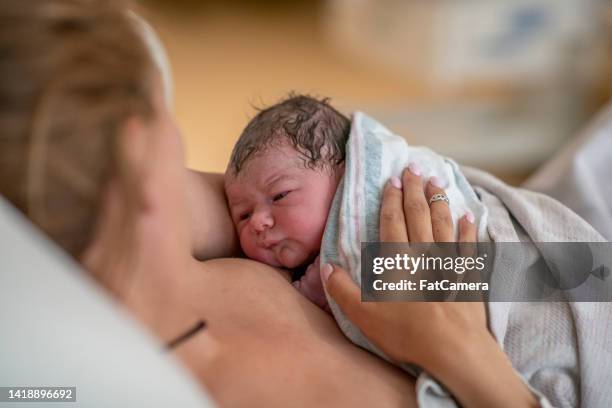 pele a pele com a mamãe - giving birth - fotografias e filmes do acervo