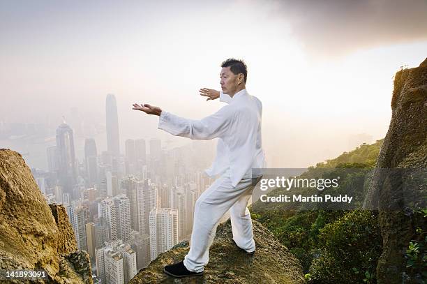 man practicing tai chi infront of skyline - martial arts man stock pictures, royalty-free photos & images