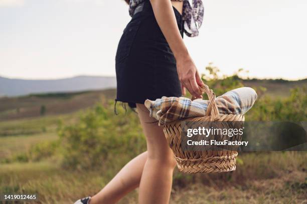 unrecognizable young woman carrying picnic basket, while walking through meadow - picnic blanket stock pictures, royalty-free photos & images