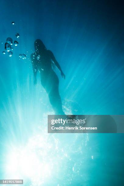 mermaid in the sea - mermaid tail stock-fotos und bilder