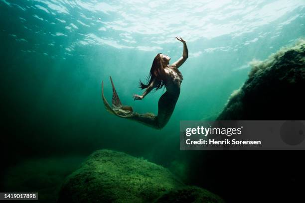 mermaid in the ocean - mythologie photos et images de collection