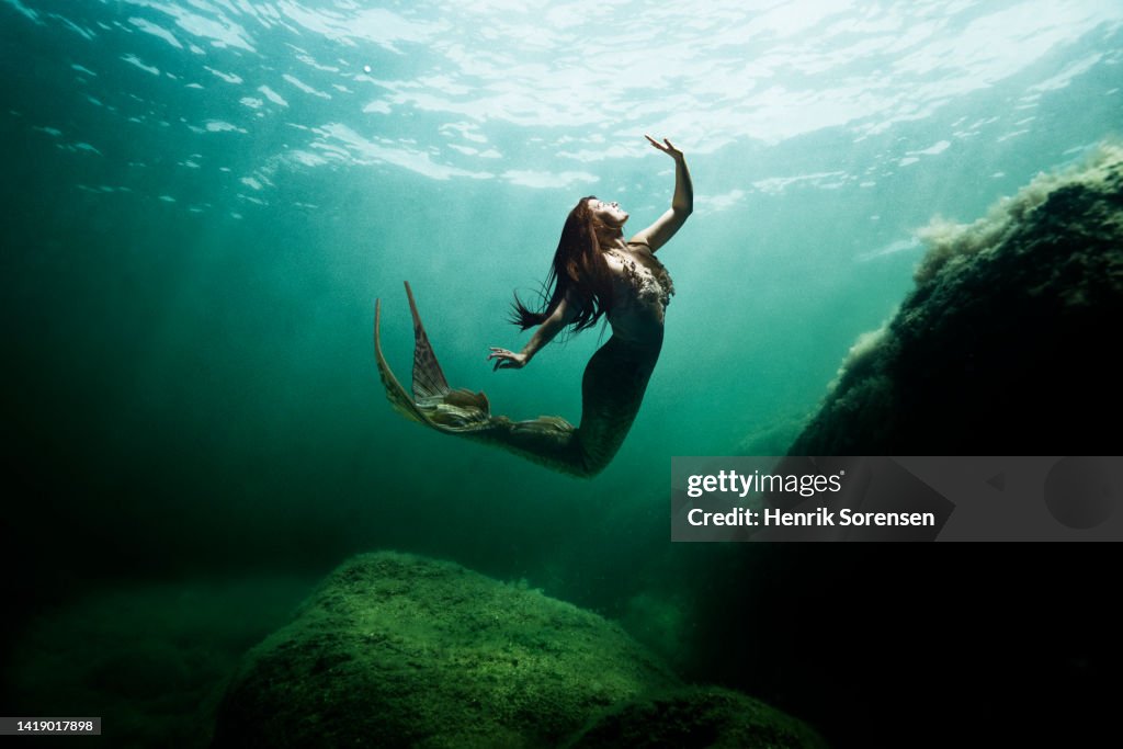 Ocean Merman Mermaid In The Ocean High-Res Stock Photo - Getty Images