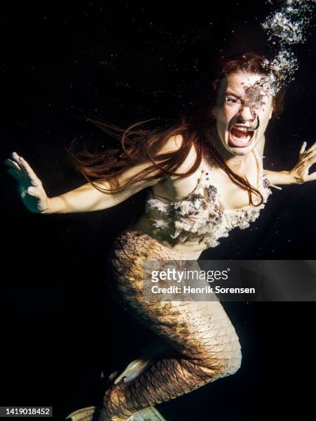 mermaid in the sea - mermaid tail stock pictures, royalty-free photos & images