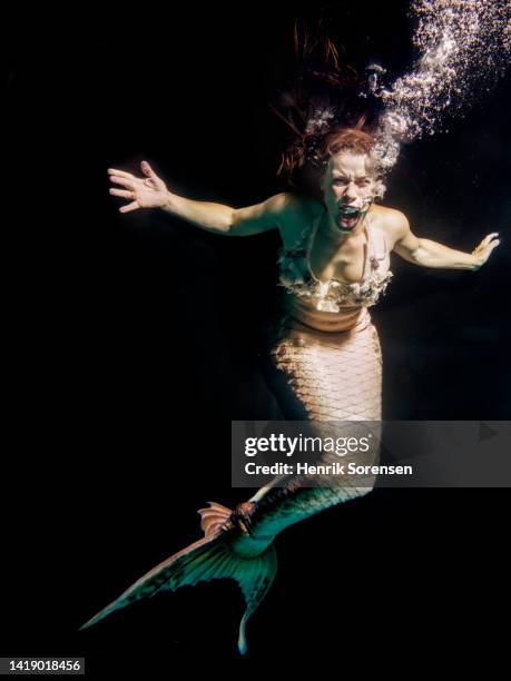 mermaid in the sea - zeemeermin stockfoto's en -beelden