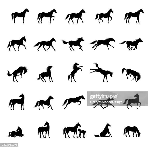 pferd icon set - horse grazing stock-grafiken, -clipart, -cartoons und -symbole