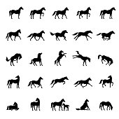 Horse Icon Set