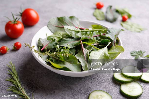 frische sommer-salat - sauerampfer stock-fotos und bilder