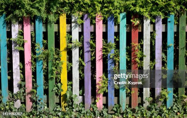 wood fencing - tuinhek stockfoto's en -beelden