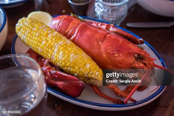 newport lobster bake - newport rhode island stock-fotos und bilder