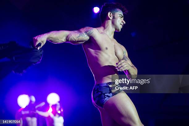 Dancer performs during a strip dance contest during the "Erotika Fair" in Sao Paulo, Brazil on March 25, 2012. The annual fair of products and...