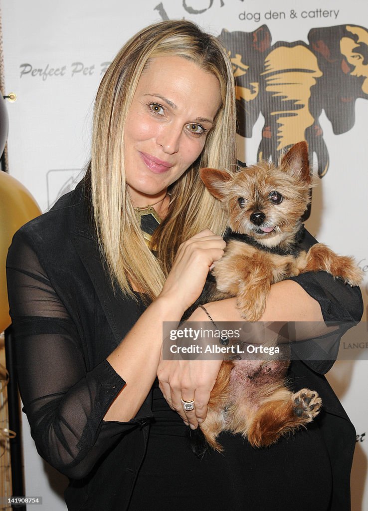 Londoloza Dog Den & Cattery Grand Opening