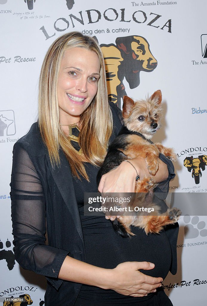 Londoloza Dog Den & Cattery Grand Opening