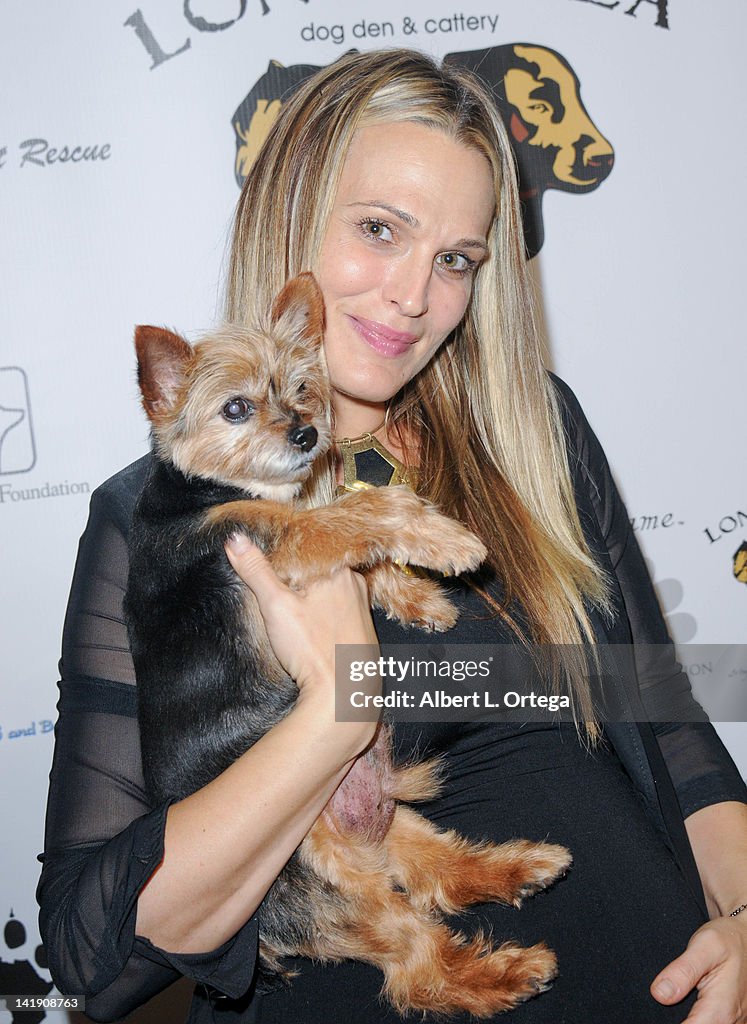 Londoloza Dog Den & Cattery Grand Opening