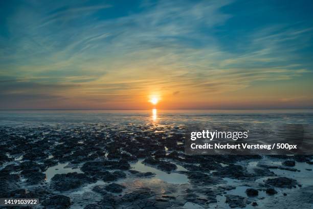 sunset over the wadden sea at low tide,rm koehool,netherlands,koehool - versteeg stock pictures, royalty-free photos & images