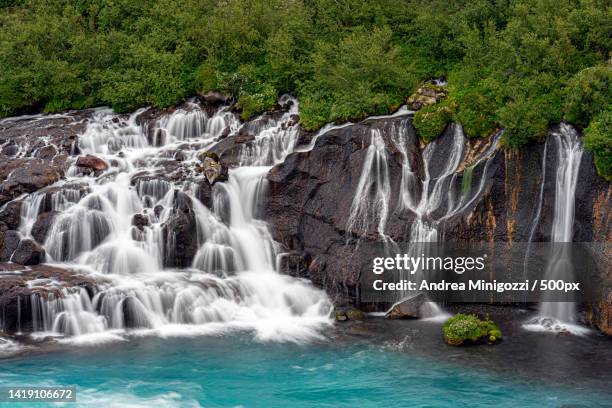 scenic view of waterfall in forest - islanda fotografías e imágenes de stock