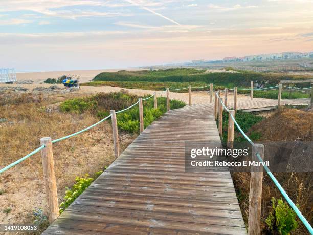 boardwalk in espinho, portugal - rebecca da costa - fotografias e filmes do acervo
