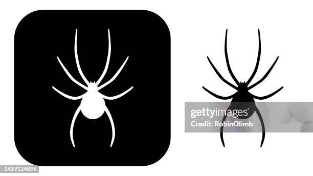 black and white spider icons 4 - phobia stock illustrations