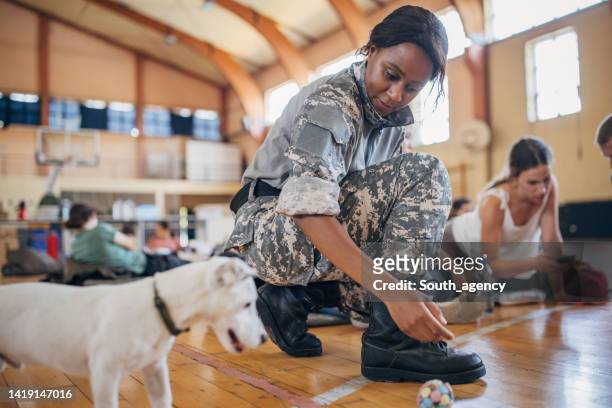 soldiers with civilians after natural disaster - military dog stock pictures, royalty-free photos & images