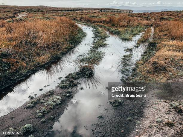 puddle of water on country road - puddles stock pictures, royalty-free photos & images