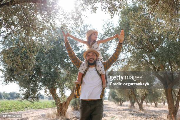 padre con figlia piccola che cammina all'aperto sull'ulivo - olive tree foto e immagini stock