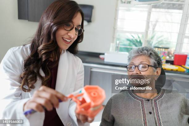 paciente mayor mirando dentista con modelo dental y cepillo de dientes - denture fotografías e imágenes de stock