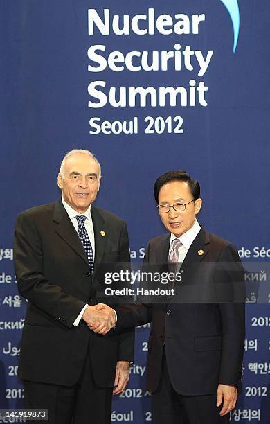 In this handout image provided by Yonhap News, Egyptian Foreign Minister Mohammed Amr and South Korean President Lee Myung-bak pose at the welcoming...