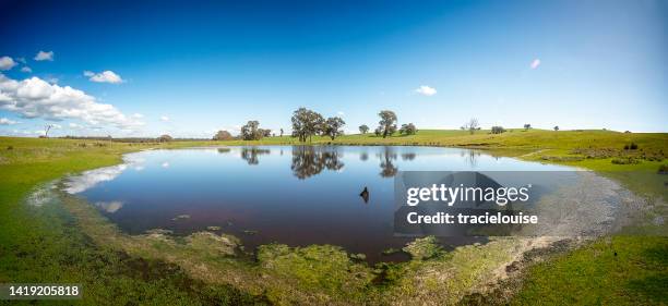 presa de la granja - estanque fotografías e imágenes de stock