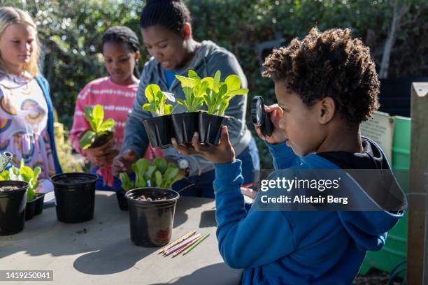 group of school children learning about growing food - south africa training stock pictures, royalty-free photos & images