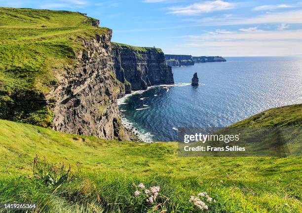 cliffs of moher, ireland - cliffs of moher stock-fotos und bilder