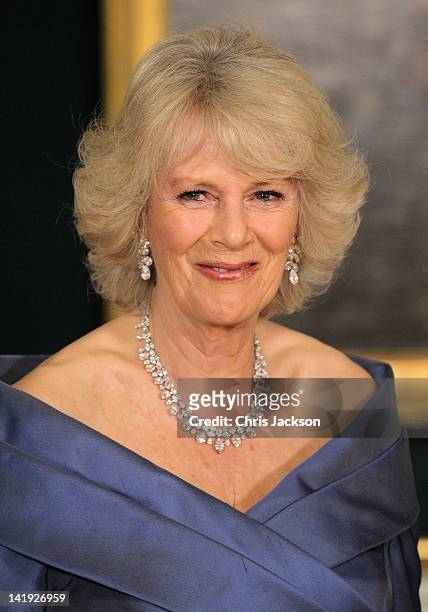 Camilla, Duchess of Cornwall smiles as she poses for a photograph ahead of an official dinner at the Royal Palace on March 26, 2012 in Copenhagen,...