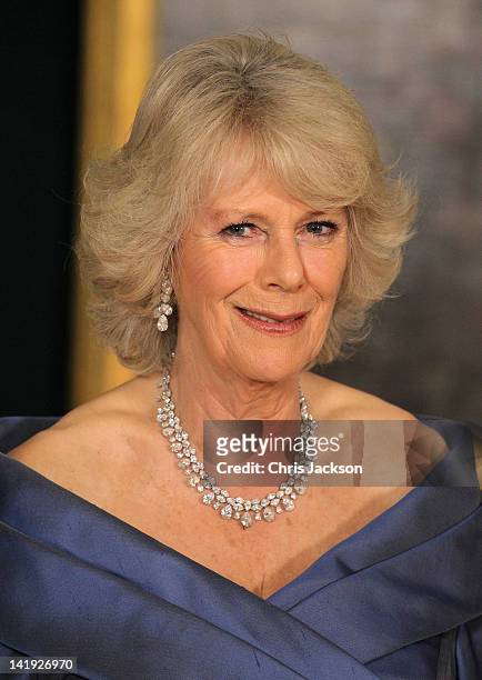 Camilla, Duchess of Cornwall smiles as she poses for a photograph ahead of an official dinner at the Royal Palace on March 26, 2012 in Copenhagen,...