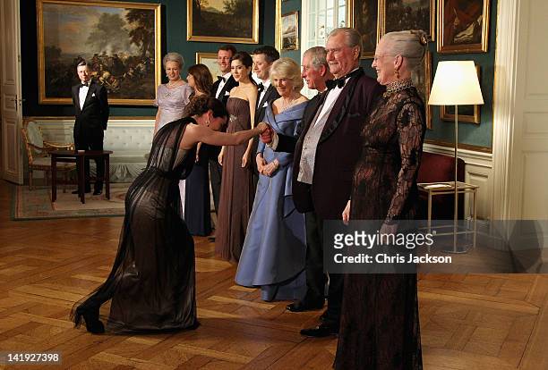 Actress Sofie Grabol greets Camilla, Duchess of Cornwall and Prince Charles, Prince of Wales in a receiving line ahead of an official dinner at the...