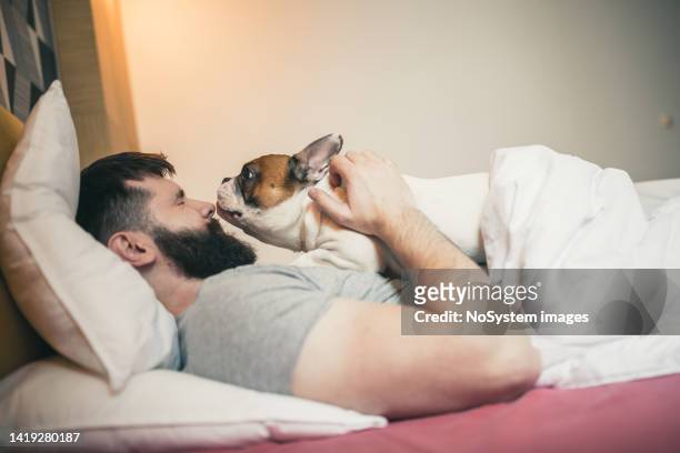 morning cuddl - muzzle human stock pictures, royalty-free photos & images