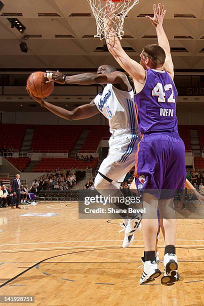 88 Drevo Stock Photos, HighRes Pictures, and Images Getty Images