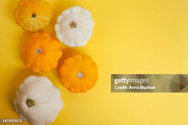 pattypan squash, fresh autumn vegetables - pattypan squash imagens e fotografias de stock
