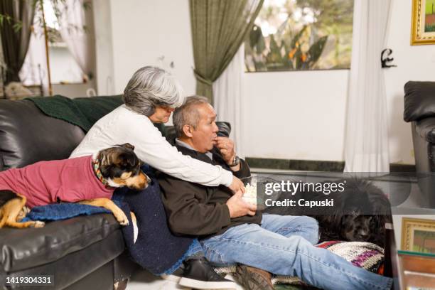 mature couple having a movie date night - newfoundlandshund bildbanksfoton och bilder