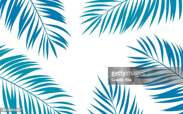 ilustrações, clipart, desenhos animados e ícones de fundo abstrato tropical palm frond - oceano pacífico