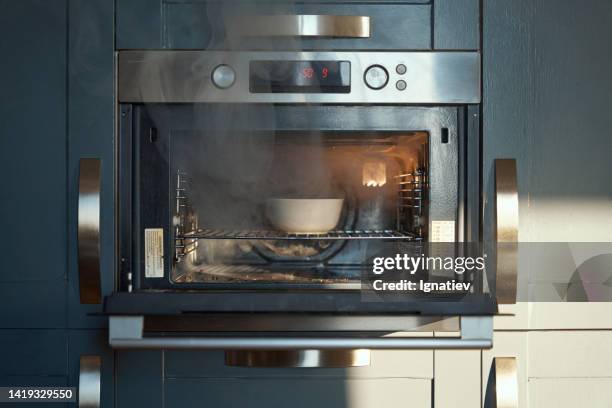 desafortunada cocción en un horno - al horno fotografías e imágenes de stock