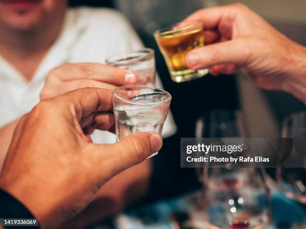 friends raising a toast - grappa stock pictures, royalty-free photos & images