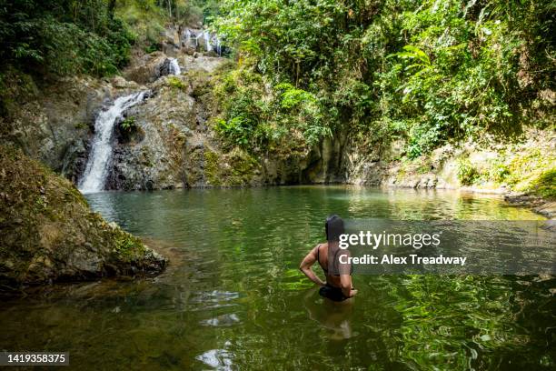 a woman wild swimming beside a beautiful waterfall - トリニダードトバゴ共和国 ストックフォトと画像