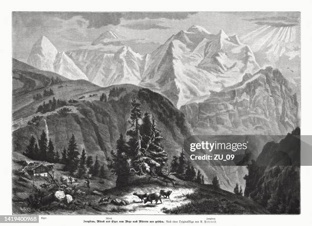 jungfrau, mönch and eiger, switzerland, wood engraving, published in 1885 - mönch stock illustrations