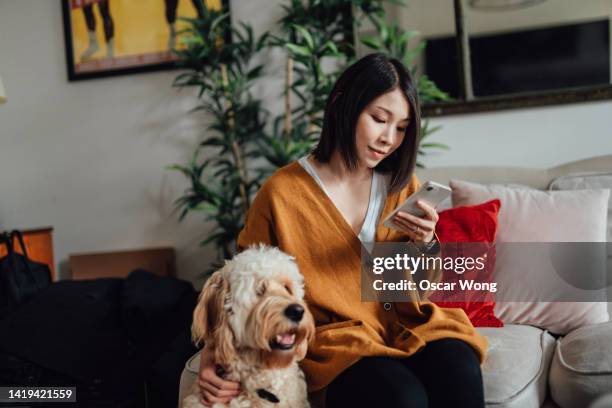 young asian woman using smart phone with her dog - internet dog stock pictures, royalty-free photos & images