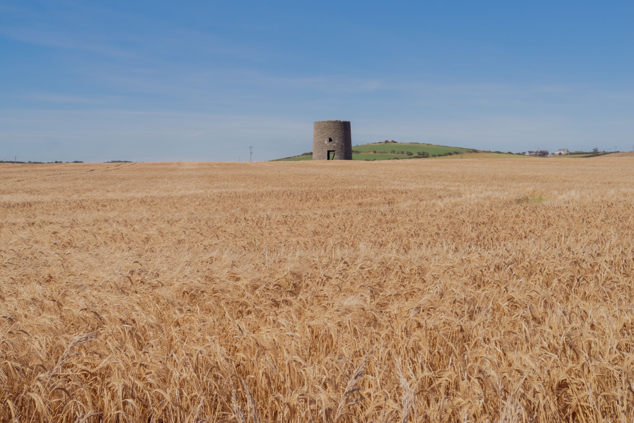 Ruin of a windmill in a field of wheat Ruin of a windmill in a field of wheat