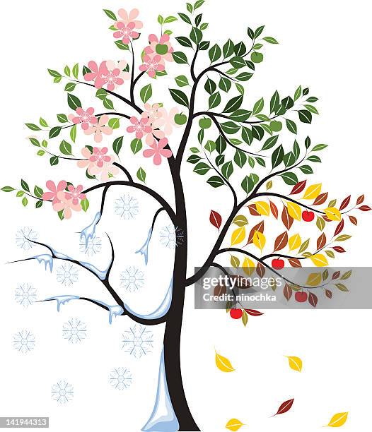 2 252点の四季イラスト素材 Getty Images 2 252点の四季イラスト素材 Getty Images